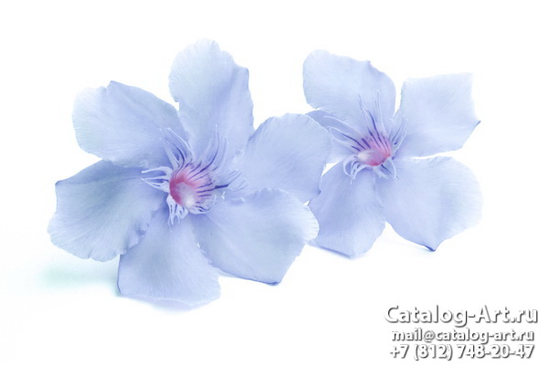 Натяжные потолки с фотопечатью - Голубые цветы 23